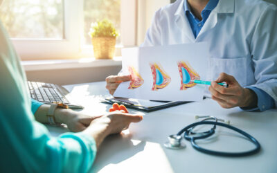 Best Time to Get Plastic Surgery: Spring, Summer, Autumn or Winter?